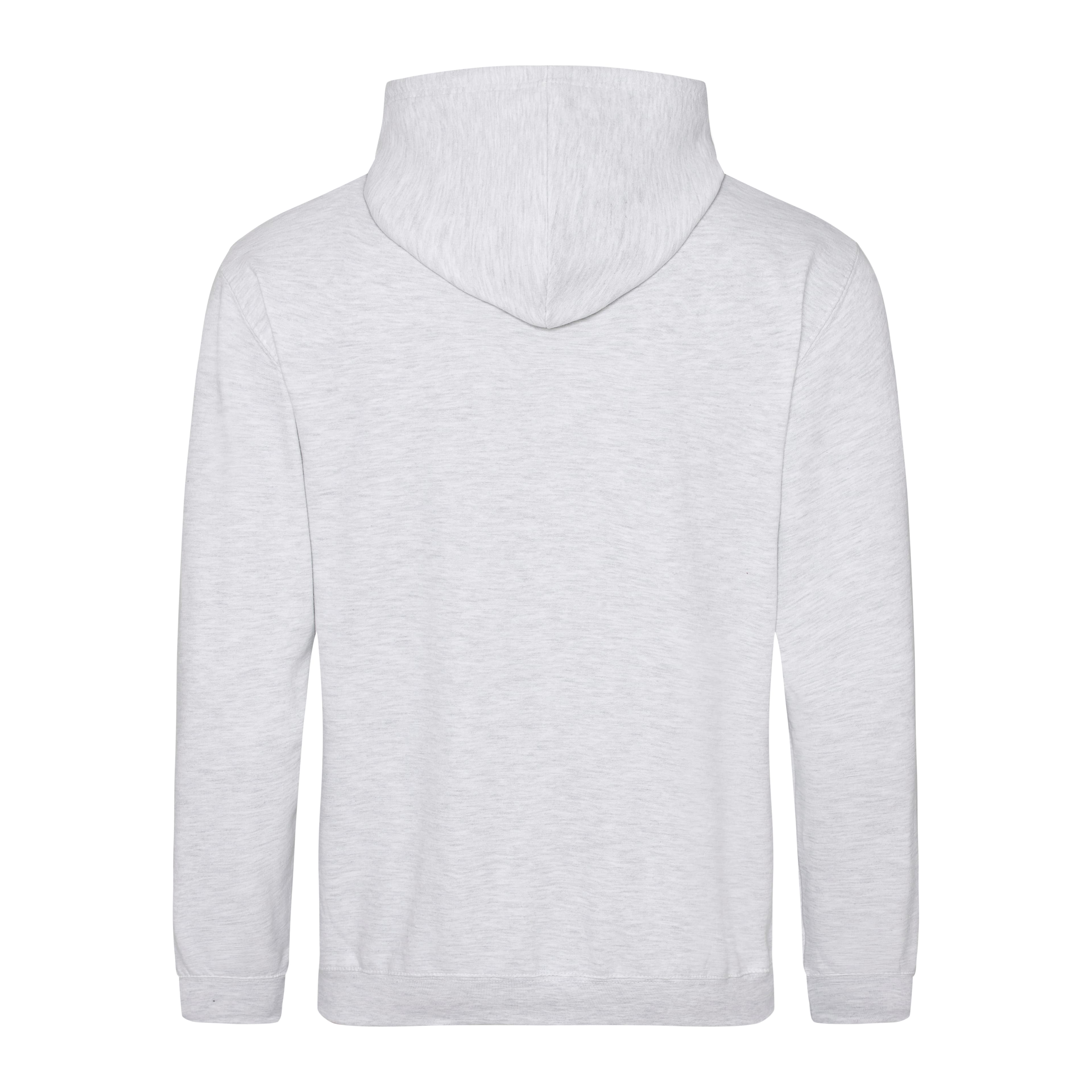 A4 College Hoodie - ASH - back