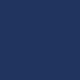 NAVY swatch